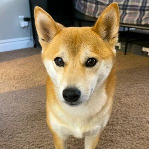 Meet your Seller, Addie!